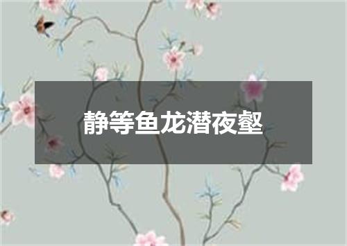 静等鱼龙潜夜壑