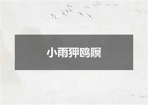 小雨狎鸥瞑