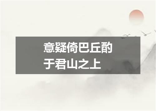 意疑倚巴丘酌于君山之上