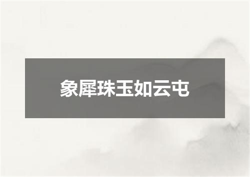 象犀珠玉如云屯