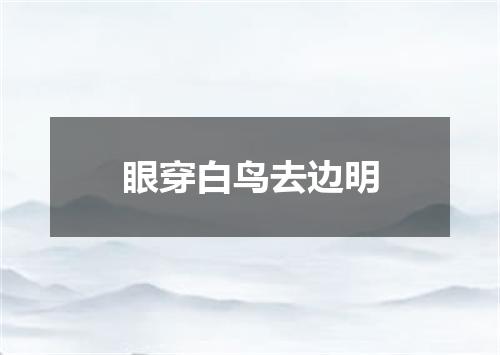 眼穿白鸟去边明