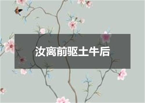 汝离前驱土牛后