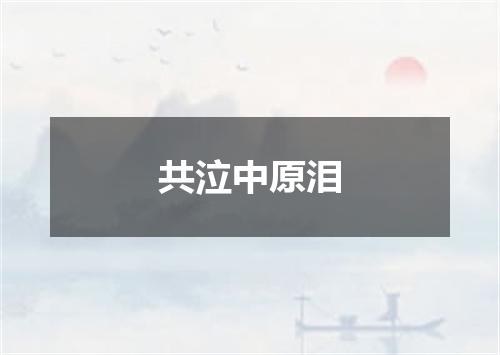 共泣中原泪
