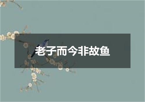 老子而今非故鱼