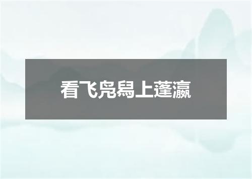 看飞凫舄上蓬瀛