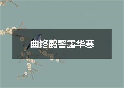 曲终鹤警露华寒
