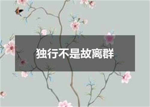 独行不是故离群