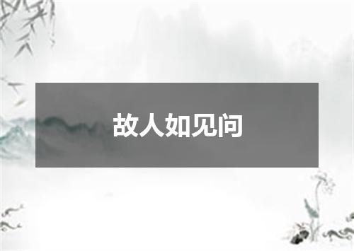 故人如见问