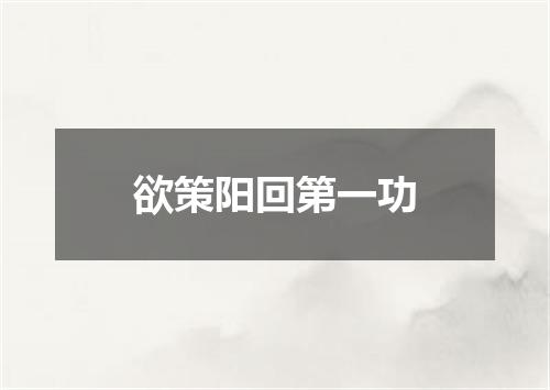 欲策阳回第一功