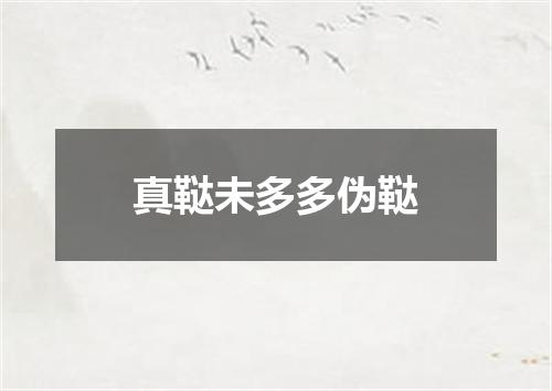 真鞑未多多伪鞑