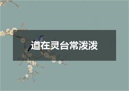 道在灵台常泼泼