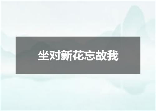 坐对新花忘故我