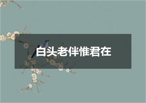 白头老伴惟君在