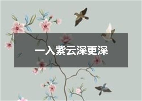 一入紫云深更深