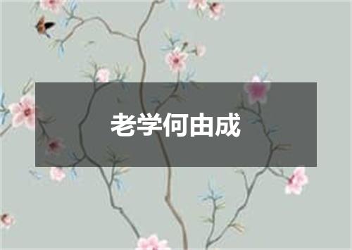 老学何由成