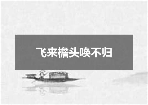 飞来檐头唤不归