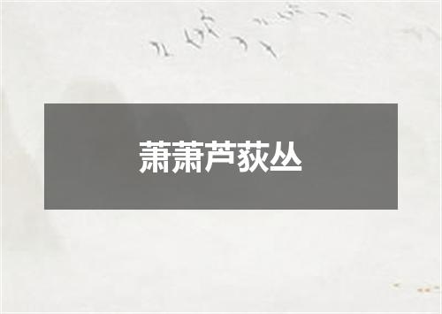 萧萧芦荻丛