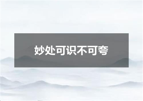 妙处可识不可夸