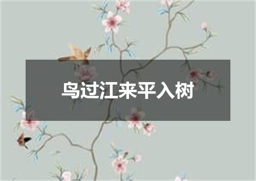 鸟过江来平入树