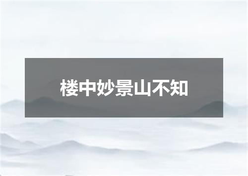楼中妙景山不知
