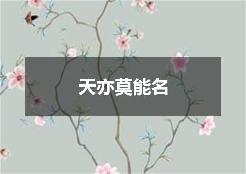 天亦莫能名