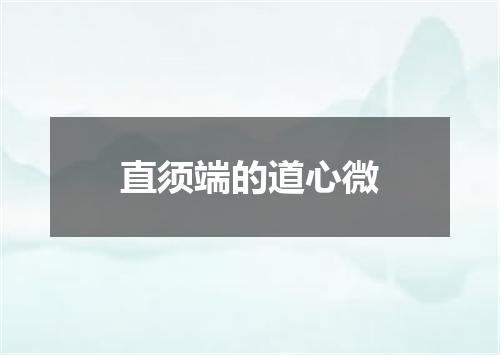 直须端的道心微