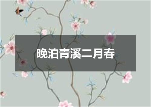 晚泊青溪二月春