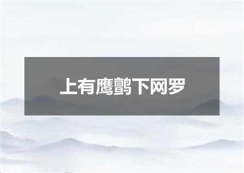 上有鹰鹯下网罗