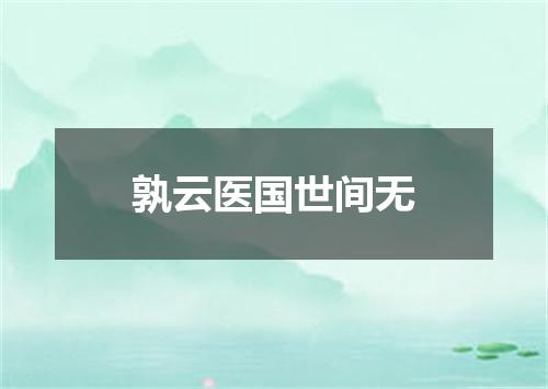 孰云医国世间无