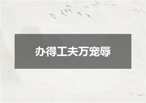 办得工夫万宠辱