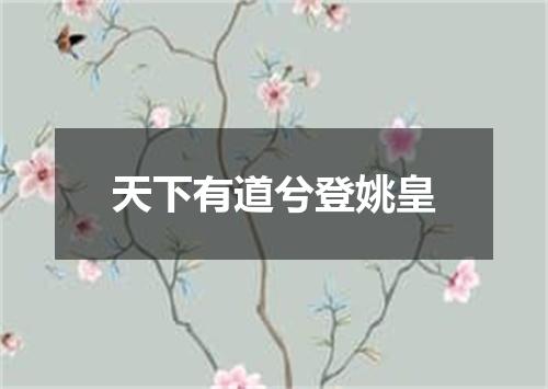天下有道兮登姚皇