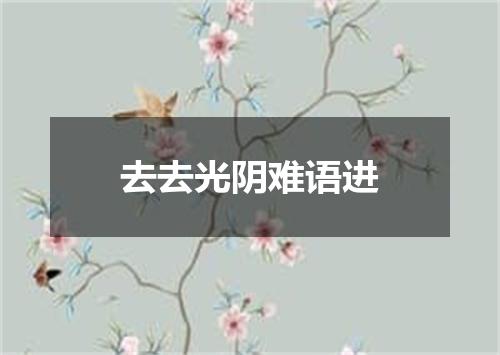 去去光阴难语进