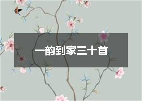 一韵到家三十首