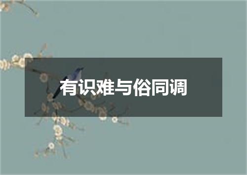 有识难与俗同调