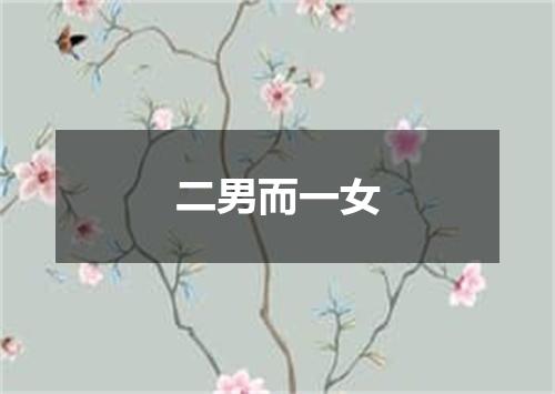 二男而一女