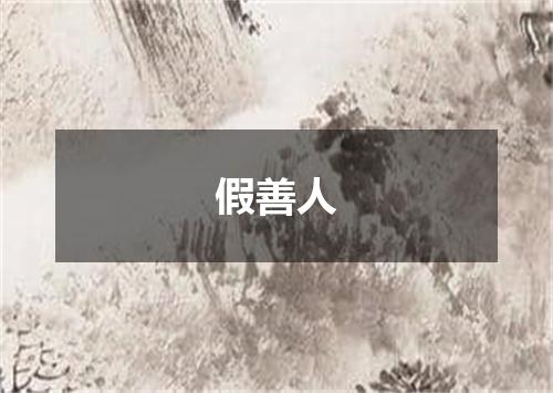 假善人