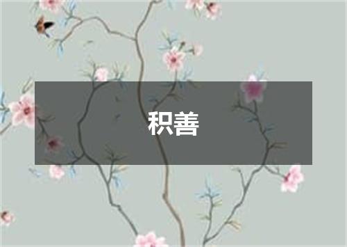积善