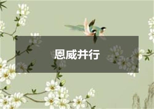 恩威并行