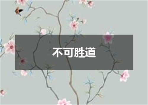 不可胜道