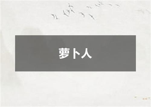 萝卜人