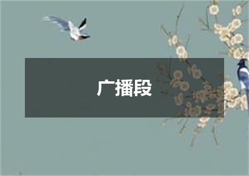 广播段