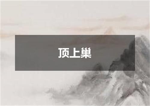顶上巢