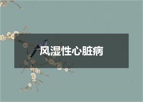 风湿性心脏病