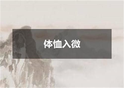 体恤入微