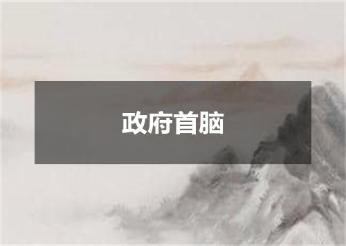 政府首脑