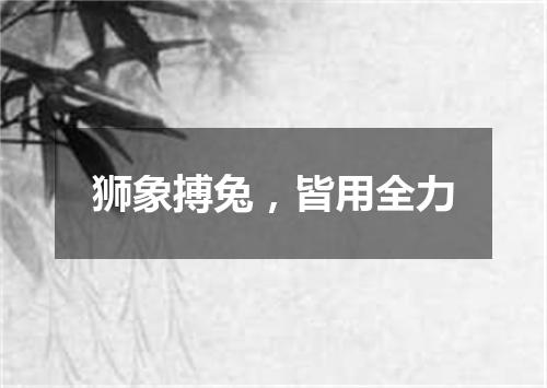 狮象搏兔，皆用全力