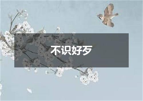 不识好歹