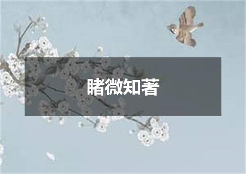 睹微知著