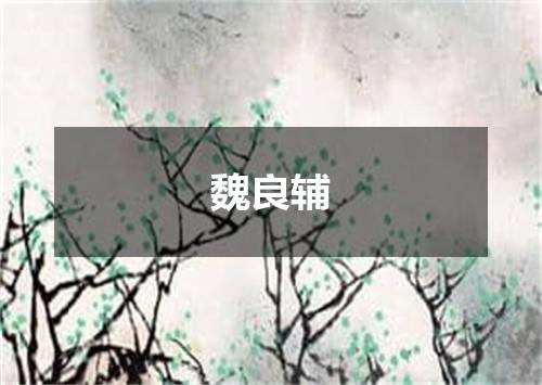 魏良辅