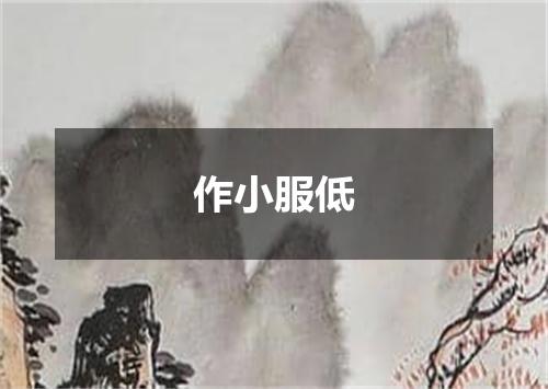 作小服低